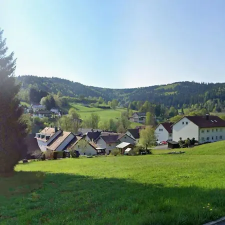 Elsa's Waldnest-naehe Fichtelsee Apartment Warmensteinach
