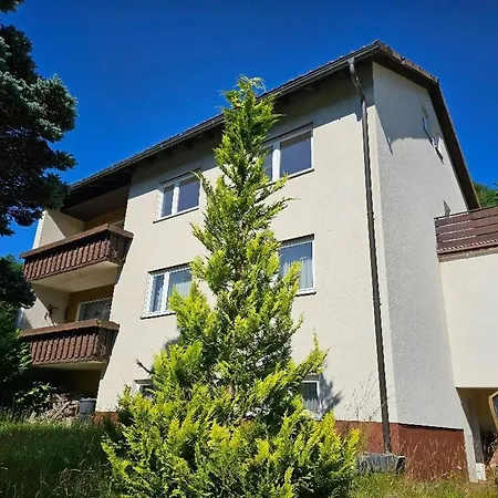 Elsa's Waldnest-naehe Fichtelsee Apartment *