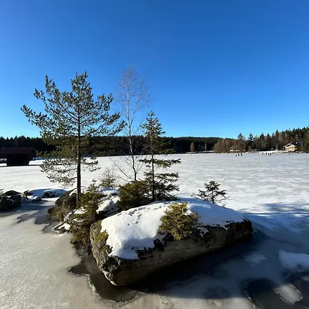 Elsa's Waldnest-naehe Fichtelsee Apartment