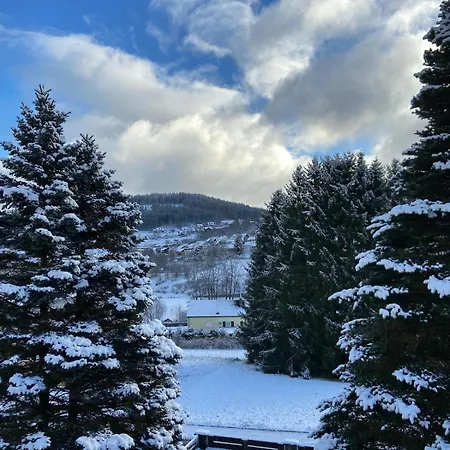 Elsa's Waldnest-naehe Fichtelsee Apartman Warmensteinach