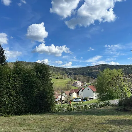 Elsa's Waldnest-naehe Fichtelsee Apartment Warmensteinach