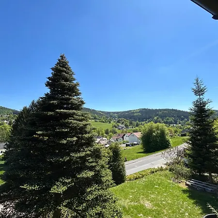 Elsa's Waldnest-naehe Fichtelsee Apartman