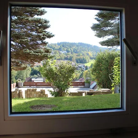 Apartment Elsa's Waldnest-naehe Fichtelsee