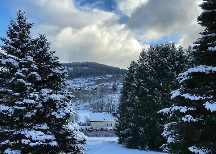 Elsa's Waldnest-naehe Fichtelsee Appartement Warmensteinach