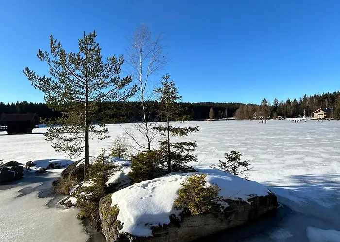 Elsa's Waldnest-naehe Fichtelsee Appartement
